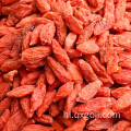 बेबी कार्बनिक बिक्री के लिए goji wolfberry सूखे